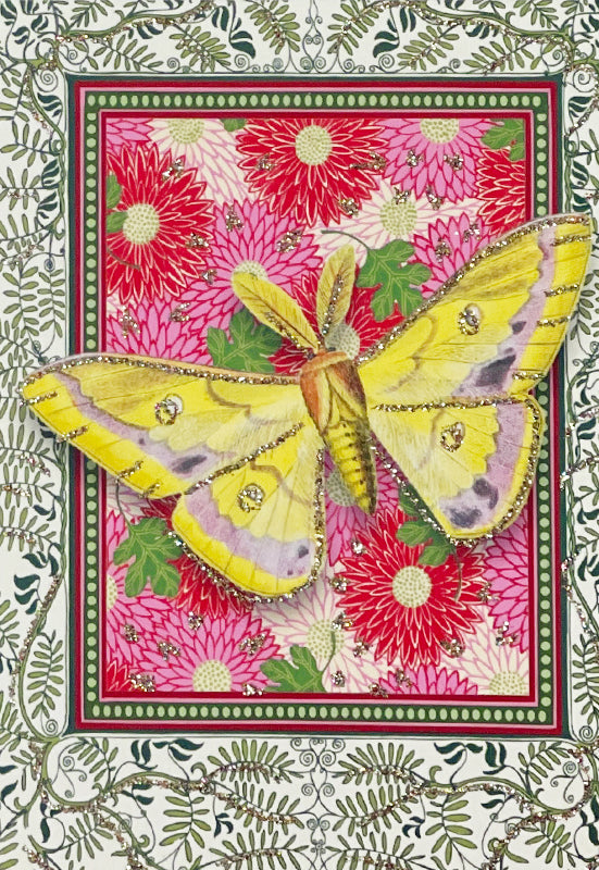 Kort Indian butterfly #10K306