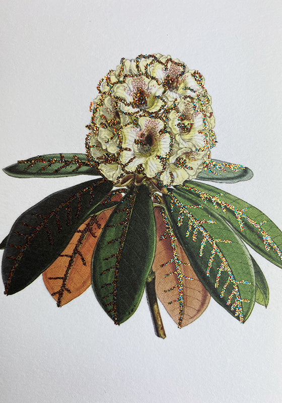 kort, glimmerkort, fødselsdagskort, cards, birthday card, thank you card, friendship card, cool i love you card, i admire you card, you are the best card, designcard, designer card, greetingcards, greeting cards, sendmoresnailmail, glitter cards, postcard, handmade cards, papercrafts, papergoods, carte postale, papeterie, funny cards, stationary, for sale, kort, kuvert, takkekort, flotte kort, selvklæbende lukning, pyntet med guldglimmer, kort med glimmer, glimmerkort, kort med guldglimmer, bryllupsinvitati