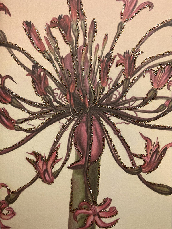 kort, glimmerkort, fødselsdagskort, cards, birthday card, thank you card, friendship card, cool i love you card, i admire you card, you are the best card, designcard, designer card, greetingcards, greeting cards, sendmoresnailmail, glitter cards, postcard, handmade cards, papercrafts, papergoods, carte postale, papeterie, funny cards, stationary, for sale, kort, kuvert, takkekort, flotte kort, selvklæbende lukning, pyntet med guldglimmer, kort med glimmer, glimmerkort, kort med guldglimmer, bryllupsinvitati