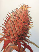 cards, birthday card, thank you card, friendship card, cool i love you card, i admire you card, you are the best card, designcard, designer card, greetingcards, greeting cards, sendmoresnailmail, glitter cards, postcard, handmade cards, papercrafts, papergoods, carte postale, papeterie, funny cards, stationary, for sale, envelope, double card, self adhesive,condolences,greetings,christmas cards, wishes,Milestone,anniverisary,get well, miss you,graduation,thanks, cheer up, think of you,embellished with glitt