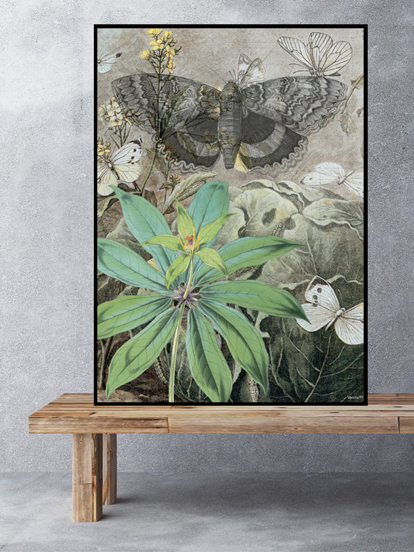 PLAKATER, vanillafly, vanillaflydk, gallerivæg, retrotryk, retroplakater, plakater, flotteplakater, artprints, designprint, billedvæg, flotteplakater, kunst, kunsttryk, gallerikunst, vægkunst, plakatertilsalg, posters, poster, retroposter, retro, art, artprints, artprint, interior, interiordesign, galleryart, botanicalposter, botanicalillustration, gallerywall, wallart, botanicalprint, botanicalart, homedecor, tropicalprint, tropicalart, floralprint, floralart, floralprints, walldecor, artwork wallspace, st