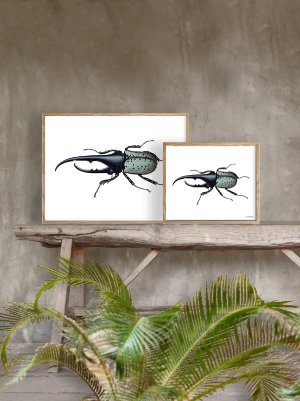 PLAKATER, vanillafly, vanillaflydk, gallerivæg, retrotryk, retroplakater, plakater, flotteplakater, artprints, designprint, billedvæg, flotteplakater, kunst, kunsttryk, gallerikunst, vægkunst, plakatertilsalg, posters, poster, retroposter, retro, art, artprints, artprint, interior, interiordesign, galleryart, botanicalposter, botanicalillustration, gallerywall, wallart, botanicalprint, botanicalart, homedecor, tropicalprint, tropicalart, floralprint, floralart, floralprints, walldecor, artwork wallspace, st