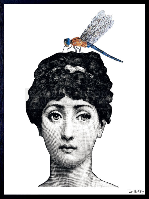 PLAKATER, vanillafly, vanillaflydk, gallerivæg, retrotryk, retroplakater, plakater, flotteplakater, artprints, designprint, billedvæg, flotteplakater, kunst, kunsttryk, gallerikunst, vægkunst, plakatertilsalg, posters, poster, retroposter, retro, art, artprints, artprint, interior, interiordesign, galleryart, botanicalposter, botanicalillustration, gallerywall, wallart, botanicalprint, botanicalart, homedecor, tropicalprint, tropicalart, floralprint, floralart, floralprints, walldecor, artwork wallspace, st