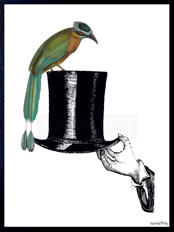 PLAKATER, vanillafly, vanillaflydk, gallerivæg, retrotryk, retroplakater, plakater, flotteplakater, artprints, designprint, billedvæg, flotteplakater, kunst, kunsttryk, gallerikunst, vægkunst, plakatertilsalg, posters, poster, retroposter, retro, art, artprints, artprint, interior, interiordesign, galleryart, botanicalposter, botanicalillustration, gallerywall, wallart, botanicalprint, botanicalart, homedecor, tropicalprint, tropicalart, floralprint, floralart, floralprints, walldecor, artwork wallspace, st