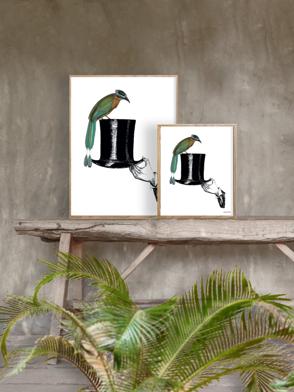 PLAKATER, vanillafly, vanillaflydk, gallerivæg, retrotryk, retroplakater, plakater, flotteplakater, artprints, designprint, billedvæg, flotteplakater, kunst, kunsttryk, gallerikunst, vægkunst, plakatertilsalg, posters, poster, retroposter, retro, art, artprints, artprint, interior, interiordesign, galleryart, botanicalposter, botanicalillustration, gallerywall, wallart, botanicalprint, botanicalart, homedecor, tropicalprint, tropicalart, floralprint, floralart, floralprints, walldecor, artwork wallspace, st