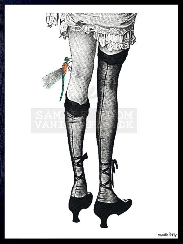 PLAKATER, vanillafly, vanillaflydk, gallerivæg, retrotryk, retroplakater, plakater, flotteplakater, artprints, designprint, billedvæg, flotteplakater, kunst, kunsttryk, gallerikunst, vægkunst, plakatertilsalg, posters, poster, retroposter, retro, art, artprints, artprint, interior, interiordesign, galleryart, botanicalposter, botanicalillustration, gallerywall, wallart, botanicalprint, botanicalart, homedecor, tropicalprint, tropicalart, floralprint, floralart, floralprints, walldecor, artwork wallspace, st