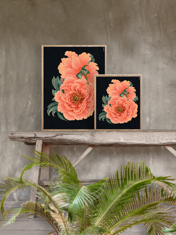 PLAKATER, vanillafly, vanillaflydk, gallerivæg, retrotryk, retroplakater, plakater, flotteplakater, artprints, designprint, billedvæg, flotteplakater, kunst, kunsttryk, gallerikunst, vægkunst, plakatertilsalg, posters, poster, retroposter, retro, art, artprints, artprint, interior, interiordesign, galleryart, botanicalposter, botanicalillustration, gallerywall, wallart, botanicalprint, botanicalart, homedecor, tropicalprint, tropicalart, floralprint, floralart, floralprints, walldecor, artwork wallspace, st