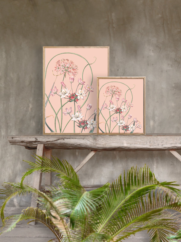 PLAKATER, vanillafly, vanillaflydk, gallerivæg, retrotryk, retroplakater, plakater, flotteplakater, artprints, designprint, billedvæg, flotteplakater, kunst, kunsttryk, gallerikunst, vægkunst, plakatertilsalg, posters, poster, retroposter, retro, art, artprints, artprint, interior, interiordesign, galleryart, botanicalposter, botanicalillustration, gallerywall, wallart, botanicalprint, botanicalart, homedecor, tropicalprint, tropicalart, floralprint, floralart, floralprints, walldecor, artwork wallspace, st