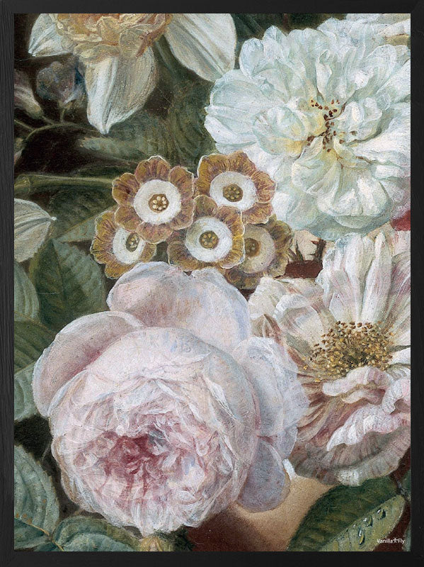 PLAKATER, vanillafly, vanillaflydk, gallerivæg, retrotryk, retroplakater, plakater, flotteplakater, artprints, designprint, billedvæg, flotteplakater, kunst, kunsttryk, gallerikunst, vægkunst, plakatertilsalg, posters, poster, retroposter, retro, art, artprints, artprint, interior, interiordesign, galleryart, botanicalposter, botanicalillustration, gallerywall, wallart, botanicalprint, botanicalart, homedecor, tropicalprint, tropicalart, floralprint, floralart, floralprints, walldecor, artwork wallspace, st