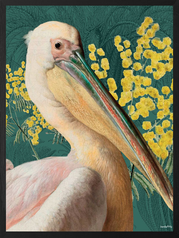 PLAKATER, vanillafly, vanillaflydk, gallerivæg, retrotryk, retroplakater, plakater, flotteplakater, artprints, designprint, billedvæg, flotteplakater, kunst, kunsttryk, gallerikunst, vægkunst, plakatertilsalg, posters, poster, retroposter, retro, art, artprints, artprint, interior, interiordesign, galleryart, botanicalposter, botanicalillustration, gallerywall, wallart, botanicalprint, botanicalart, homedecor, tropicalprint, tropicalart, floralprint, floralart, floralprints, walldecor, artwork wallspace, st