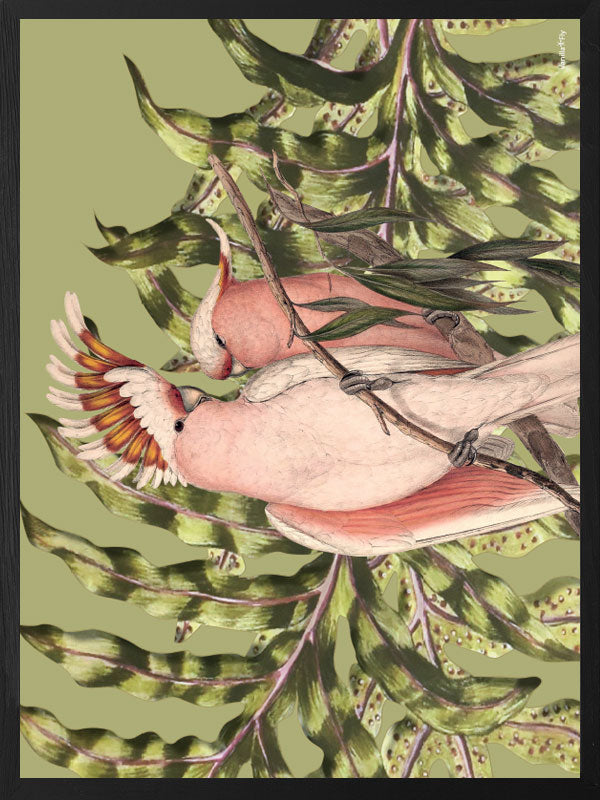 PLAKATER, vanillafly, vanillaflydk, gallerivæg, retrotryk, retroplakater, plakater, flotteplakater, artprints, designprint, billedvæg, flotteplakater, kunst, kunsttryk, gallerikunst, vægkunst, plakatertilsalg, posters, poster, retroposter, retro, art, artprints, artprint, interior, interiordesign, galleryart, botanicalposter, botanicalillustration, gallerywall, wallart, botanicalprint, botanicalart, homedecor, tropicalprint, tropicalart, floralprint, floralart, floralprints, walldecor, artwork wallspace, st