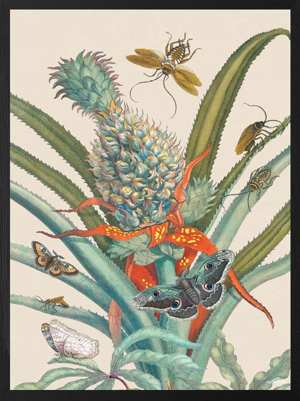 PLAKATER, vanillafly, vanillaflydk, gallerivæg, retrotryk, retroplakater, plakater, flotteplakater, artprints, designprint, billedvæg, flotteplakater, kunst, kunsttryk, gallerikunst, vægkunst, plakatertilsalg, posters, poster, retroposter, retro, art, artprints, artprint, interior, interiordesign, galleryart, botanicalposter, botanicalillustration, gallerywall, wallart, botanicalprint, botanicalart, homedecor, tropicalprint, tropicalart, floralprint, floralart, floralprints, walldecor, artwork wallspace, st