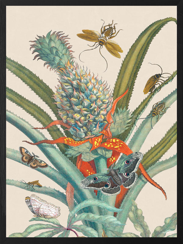 PLAKATER, vanillafly, vanillaflydk, gallerivæg, retrotryk, retroplakater, plakater, flotteplakater, artprints, designprint, billedvæg, flotteplakater, kunst, kunsttryk, gallerikunst, vægkunst, plakatertilsalg, posters, poster, retroposter, retro, art, artprints, artprint, interior, interiordesign, galleryart, botanicalposter, botanicalillustration, gallerywall, wallart, botanicalprint, botanicalart, homedecor, tropicalprint, tropicalart, floralprint, floralart, floralprints, walldecor, artwork wallspace, st