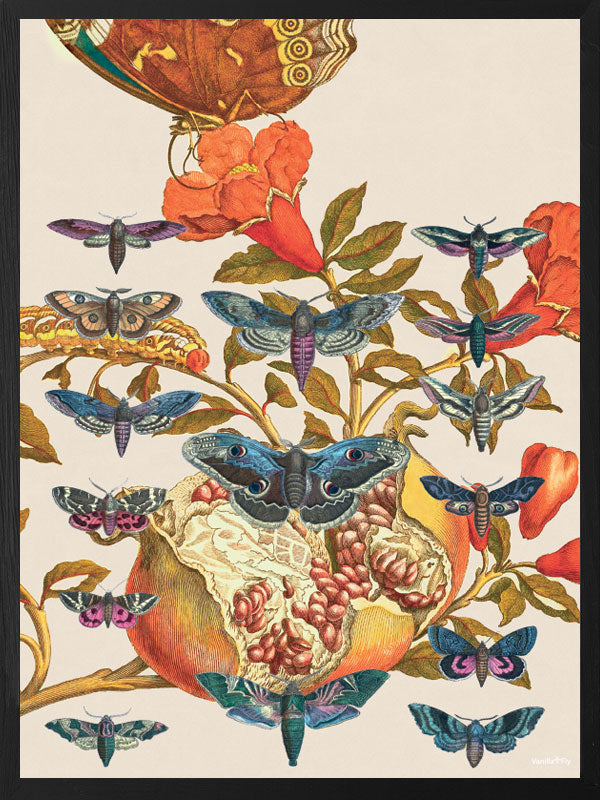 PLAKATER, vanillafly, vanillaflydk, gallerivæg, retrotryk, retroplakater, plakater, flotteplakater, artprints, designprint, billedvæg, flotteplakater, kunst, kunsttryk, gallerikunst, vægkunst, plakatertilsalg, posters, poster, retroposter, retro, art, artprints, artprint, interior, interiordesign, galleryart, botanicalposter, botanicalillustration, gallerywall, wallart, botanicalprint, botanicalart, homedecor, tropicalprint, tropicalart, floralprint, floralart, floralprints, walldecor, artwork wallspace, st