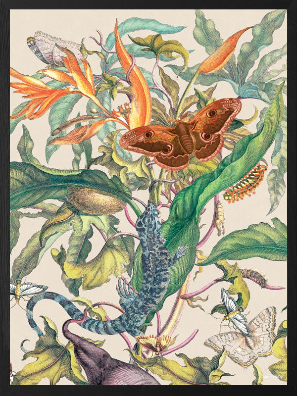 PLAKATER, vanillafly, vanillaflydk, gallerivæg, retrotryk, retroplakater, plakater, flotteplakater, artprints, designprint, billedvæg, flotteplakater, kunst, kunsttryk, gallerikunst, vægkunst, plakatertilsalg, posters, poster, retroposter, retro, art, artprints, artprint, interior, interiordesign, galleryart, botanicalposter, botanicalillustration, gallerywall, wallart, botanicalprint, botanicalart, homedecor, tropicalprint, tropicalart, floralprint, floralart, floralprints, walldecor, artwork wallspace, st