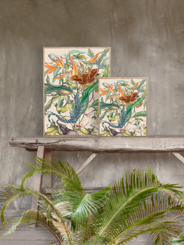 PLAKATER, vanillafly, vanillaflydk, gallerivæg, retrotryk, retroplakater, plakater, flotteplakater, artprints, designprint, billedvæg, flotteplakater, kunst, kunsttryk, gallerikunst, vægkunst, plakatertilsalg, posters, poster, retroposter, retro, art, artprints, artprint, interior, interiordesign, galleryart, botanicalposter, botanicalillustration, gallerywall, wallart, botanicalprint, botanicalart, homedecor, tropicalprint, tropicalart, floralprint, floralart, floralprints, walldecor, artwork wallspace, st