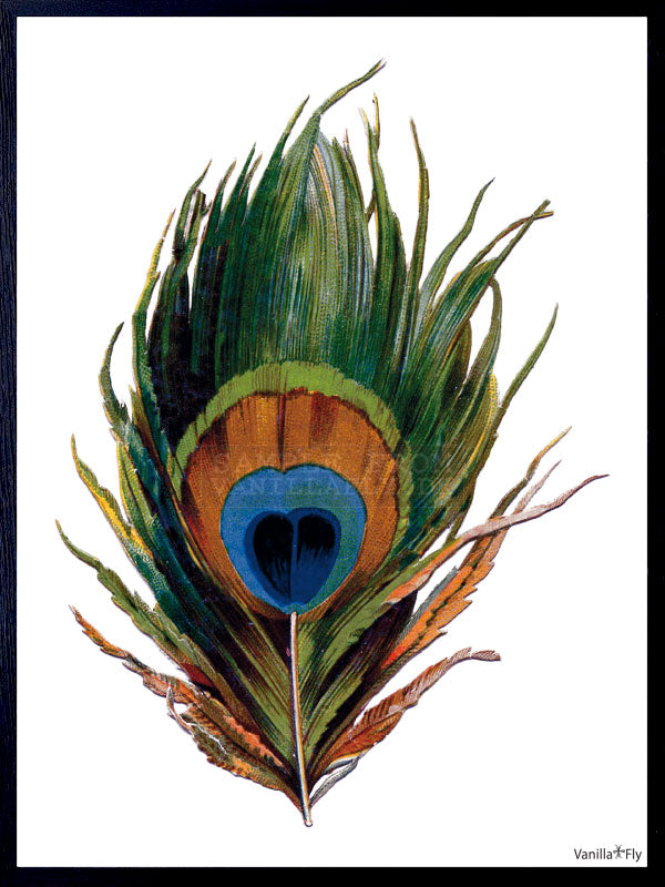 PLAKATER, vanillafly, vanillaflydk, gallerivæg, retrotryk, retroplakater, plakater, flotteplakater, artprints, designprint, billedvæg, flotteplakater, kunst, kunsttryk, gallerikunst, vægkunst, plakatertilsalg, posters, poster, retroposter, retro, art, artprints, artprint, interior, interiordesign, galleryart, botanicalposter, botanicalillustration, gallerywall, wallart, botanicalprint, botanicalart, homedecor, tropicalprint, tropicalart, floralprint, floralart, floralprints, walldecor, artwork wallspace, st