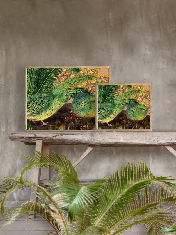 PLAKATER, vanillafly, vanillaflydk, gallerivæg, retrotryk, retroplakater, plakater, flotteplakater, artprints, designprint, billedvæg, flotteplakater, kunst, kunsttryk, gallerikunst, vægkunst, plakatertilsalg, posters, poster, retroposter, retro, art, artprints, artprint, interior, interiordesign, galleryart, botanicalposter, botanicalillustration, gallerywall, wallart, botanicalprint, botanicalart, homedecor, tropicalprint, tropicalart, floralprint, floralart, floralprints, walldecor, artwork wallspace, st