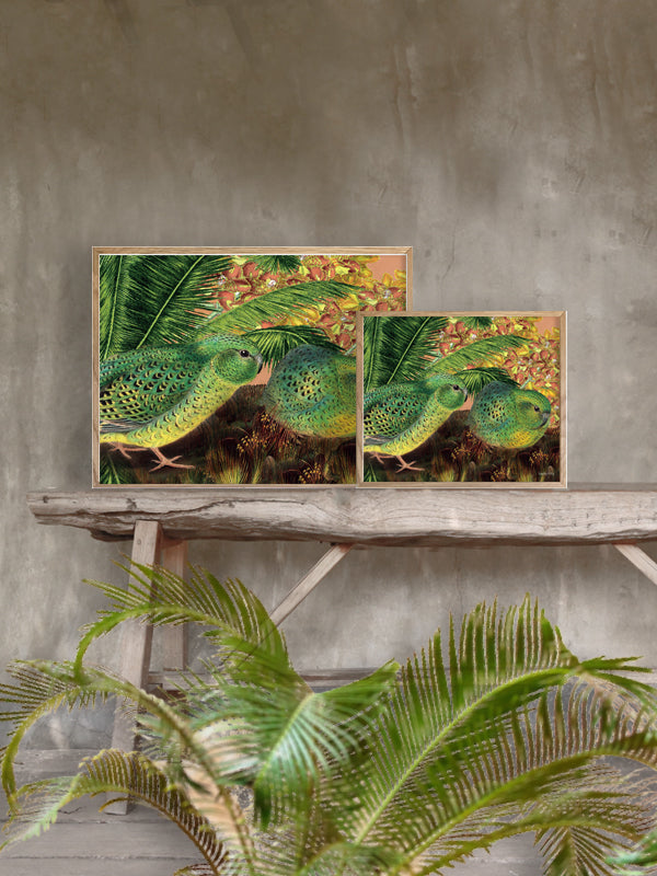 PLAKATER, vanillafly, vanillaflydk, gallerivæg, retrotryk, retroplakater, plakater, flotteplakater, artprints, designprint, billedvæg, flotteplakater, kunst, kunsttryk, gallerikunst, vægkunst, plakatertilsalg, posters, poster, retroposter, retro, art, artprints, artprint, interior, interiordesign, galleryart, botanicalposter, botanicalillustration, gallerywall, wallart, botanicalprint, botanicalart, homedecor, tropicalprint, tropicalart, floralprint, floralart, floralprints, walldecor, artwork wallspace, st