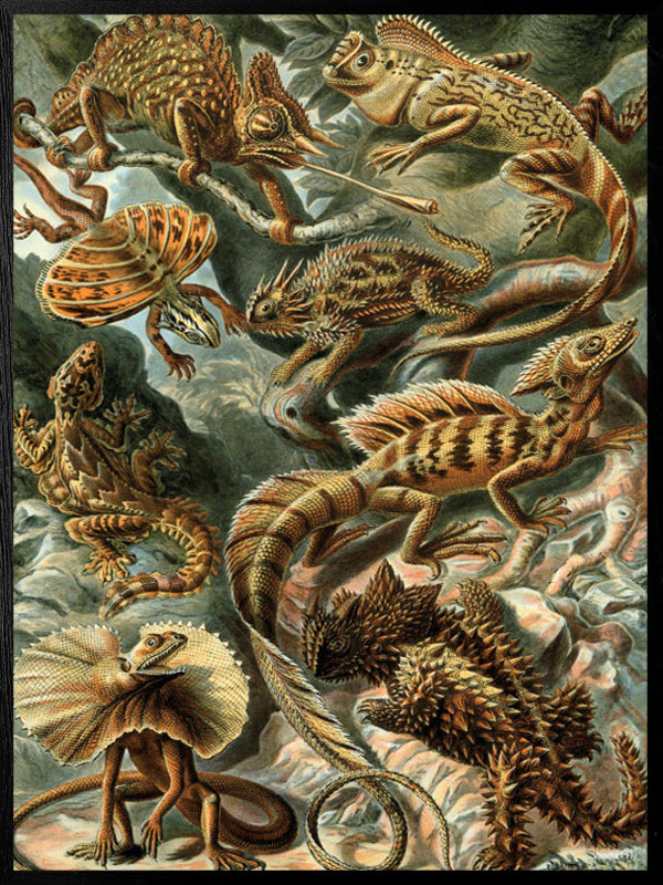 PLAKATER, vanillafly, vanillaflydk, gallerivæg, retrotryk, retroplakater, plakater, flotteplakater, artprints, designprint, billedvæg, flotteplakater, kunst, kunsttryk, gallerikunst, vægkunst, plakatertilsalg, posters, poster, retroposter, retro, art, artprints, artprint, interior, interiordesign, galleryart, botanicalposter, botanicalillustration, gallerywall, wallart, botanicalprint, botanicalart, homedecor, tropicalprint, tropicalart, floralprint, floralart, floralprints, walldecor, artwork wallspace, st