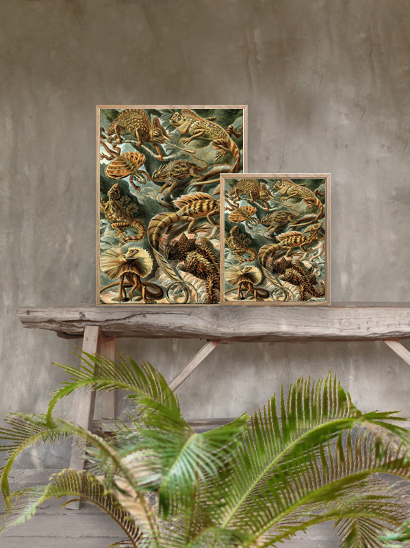 PLAKATER, vanillafly, vanillaflydk, gallerivæg, retrotryk, retroplakater, plakater, flotteplakater, artprints, designprint, billedvæg, flotteplakater, kunst, kunsttryk, gallerikunst, vægkunst, plakatertilsalg, posters, poster, retroposter, retro, art, artprints, artprint, interior, interiordesign, galleryart, botanicalposter, botanicalillustration, gallerywall, wallart, botanicalprint, botanicalart, homedecor, tropicalprint, tropicalart, floralprint, floralart, floralprints, walldecor, artwork wallspace, st