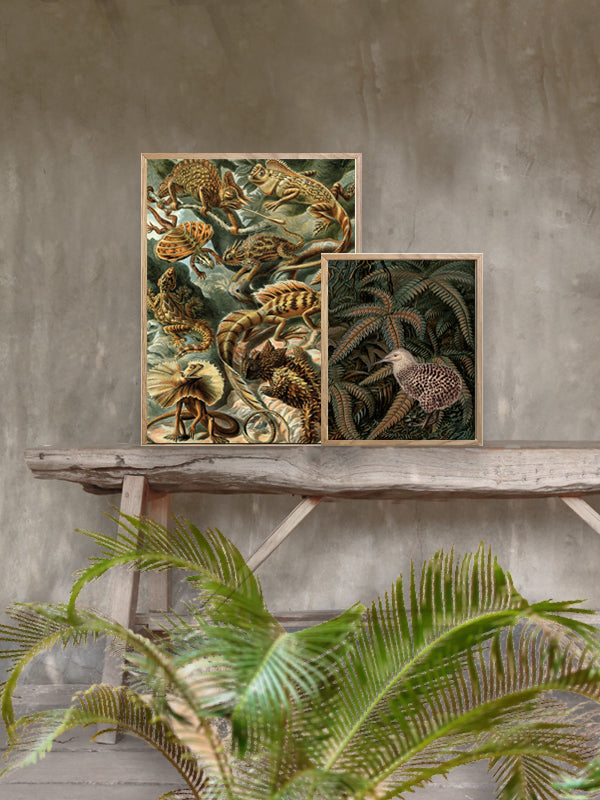 PLAKATER, vanillafly, vanillaflydk, gallerivæg, retrotryk, retroplakater, plakater, flotteplakater, artprints, designprint, billedvæg, flotteplakater, kunst, kunsttryk, gallerikunst, vægkunst, plakatertilsalg, posters, poster, retroposter, retro, art, artprints, artprint, interior, interiordesign, galleryart, botanicalposter, botanicalillustration, gallerywall, wallart, botanicalprint, botanicalart, homedecor, tropicalprint, tropicalart, floralprint, floralart, floralprints, walldecor, artwork wallspace, st