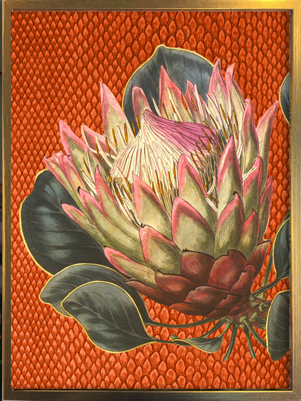 PLAKATER, vanillafly, vanillaflydk, gallerivæg, retrotryk, retroplakater, plakater, flotteplakater, artprints, designprint, billedvæg, flotteplakater, kunst, kunsttryk, gallerikunst, vægkunst, plakatertilsalg, posters, poster, retroposter, retro, art, artprints, artprint, interior, interiordesign, galleryart, botanicalposter, botanicalillustration, gallerywall, wallart, botanicalprint, botanicalart, homedecor, tropicalprint, tropicalart, floralprint, floralart, floralprints, walldecor, artwork wallspace, st