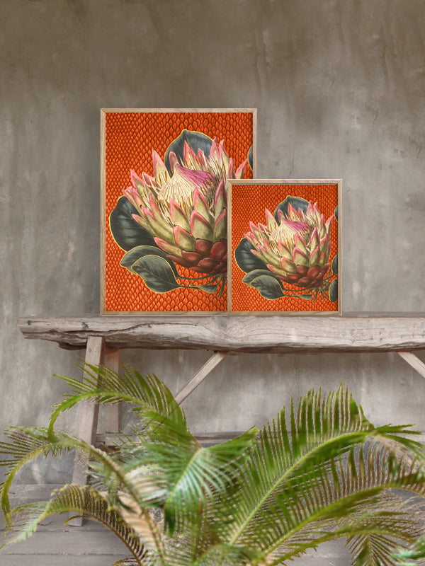 PLAKATER, vanillafly, vanillaflydk, gallerivæg, retrotryk, retroplakater, plakater, flotteplakater, artprints, designprint, billedvæg, flotteplakater, kunst, kunsttryk, gallerikunst, vægkunst, plakatertilsalg, posters, poster, retroposter, retro, art, artprints, artprint, interior, interiordesign, galleryart, botanicalposter, botanicalillustration, gallerywall, wallart, botanicalprint, botanicalart, homedecor, tropicalprint, tropicalart, floralprint, floralart, floralprints, walldecor, artwork wallspace, st