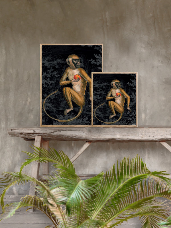 PLAKATER, vanillafly, vanillaflydk, gallerivæg, retrotryk, retroplakater, plakater, flotteplakater, artprints, designprint, billedvæg, flotteplakater, kunst, kunsttryk, gallerikunst, vægkunst, plakatertilsalg, posters, poster, retroposter, retro, art, artprints, artprint, interior, interiordesign, galleryart, botanicalposter, botanicalillustration, gallerywall, wallart, botanicalprint, botanicalart, homedecor, tropicalprint, tropicalart, floralprint, floralart, floralprints, walldecor, artwork wallspace, st