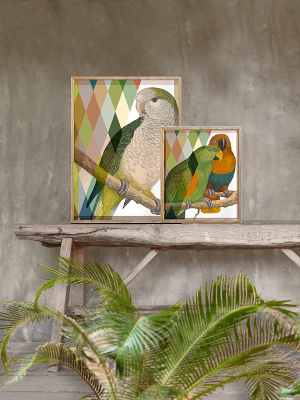 PLAKATER, vanillafly, vanillaflydk, gallerivæg, retrotryk, retroplakater, plakater, flotteplakater, artprints, designprint, billedvæg, flotteplakater, kunst, kunsttryk, gallerikunst, vægkunst, plakatertilsalg, posters, poster, retroposter, retro, art, artprints, artprint, interior, interiordesign, galleryart, botanicalposter, botanicalillustration, gallerywall, wallart, botanicalprint, botanicalart, homedecor, tropicalprint, tropicalart, floralprint, floralart, floralprints, walldecor, artwork wallspace, st