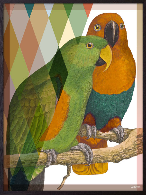 PLAKATER, vanillafly, vanillaflydk, gallerivæg, retrotryk, retroplakater, plakater, flotteplakater, artprints, designprint, billedvæg, flotteplakater, kunst, kunsttryk, gallerikunst, vægkunst, plakatertilsalg, posters, poster, retroposter, retro, art, artprints, artprint, interior, interiordesign, galleryart, botanicalposter, botanicalillustration, gallerywall, wallart, botanicalprint, botanicalart, homedecor, tropicalprint, tropicalart, floralprint, floralart, floralprints, walldecor, artwork wallspace, st