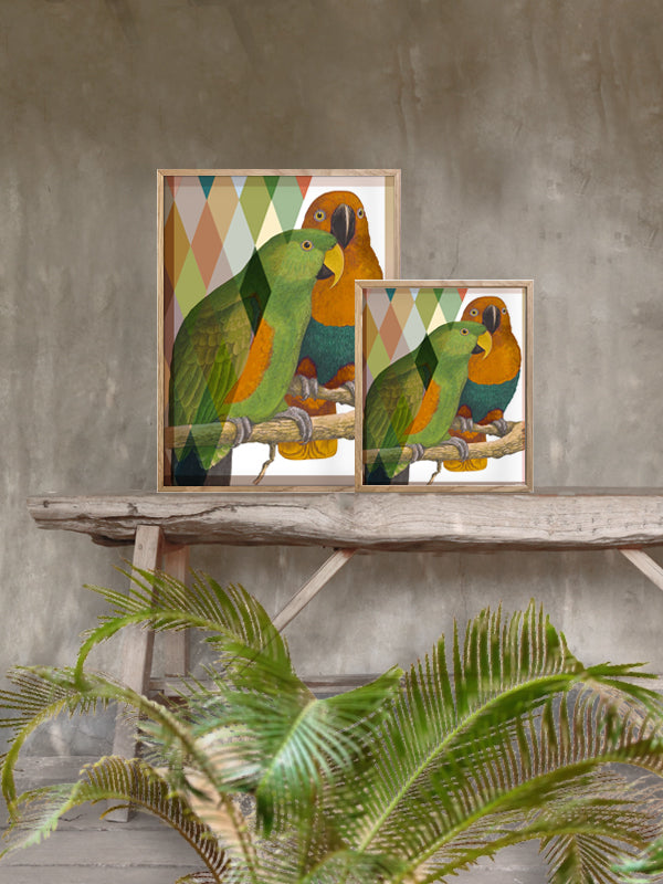 PLAKATER, vanillafly, vanillaflydk, gallerivæg, retrotryk, retroplakater, plakater, flotteplakater, artprints, designprint, billedvæg, flotteplakater, kunst, kunsttryk, gallerikunst, vægkunst, plakatertilsalg, posters, poster, retroposter, retro, art, artprints, artprint, interior, interiordesign, galleryart, botanicalposter, botanicalillustration, gallerywall, wallart, botanicalprint, botanicalart, homedecor, tropicalprint, tropicalart, floralprint, floralart, floralprints, walldecor, artwork wallspace, st