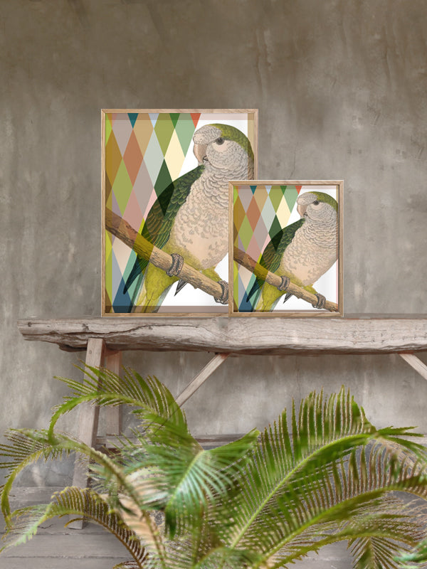 PLAKATER, vanillafly, vanillaflydk, gallerivæg, retrotryk, retroplakater, plakater, flotteplakater, artprints, designprint, billedvæg, flotteplakater, kunst, kunsttryk, gallerikunst, vægkunst, plakatertilsalg, posters, poster, retroposter, retro, art, artprints, artprint, interior, interiordesign, galleryart, botanicalposter, botanicalillustration, gallerywall, wallart, botanicalprint, botanicalart, homedecor, tropicalprint, tropicalart, floralprint, floralart, floralprints, walldecor, artwork wallspace, st