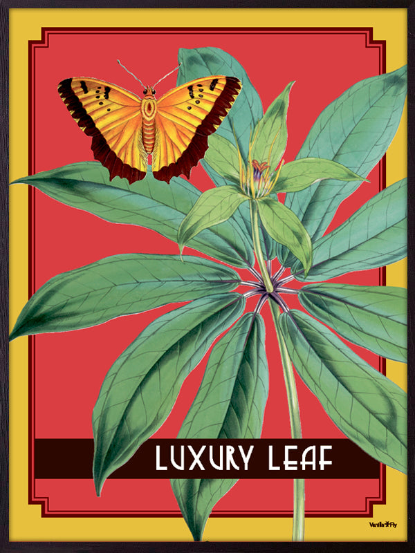 PLAKATER, vanillafly, vanillaflydk, gallerivæg, retrotryk, retroplakater, plakater, flotteplakater, artprints, designprint, billedvæg, flotteplakater, kunst, kunsttryk, gallerikunst, vægkunst, plakatertilsalg, posters, poster, retroposter, retro, art, artprints, artprint, interior, interiordesign, galleryart, botanicalposter, botanicalillustration, gallerywall, wallart, botanicalprint, botanicalart, homedecor, tropicalprint, tropicalart, floralprint, floralart, floralprints, walldecor, artwork wallspace, st