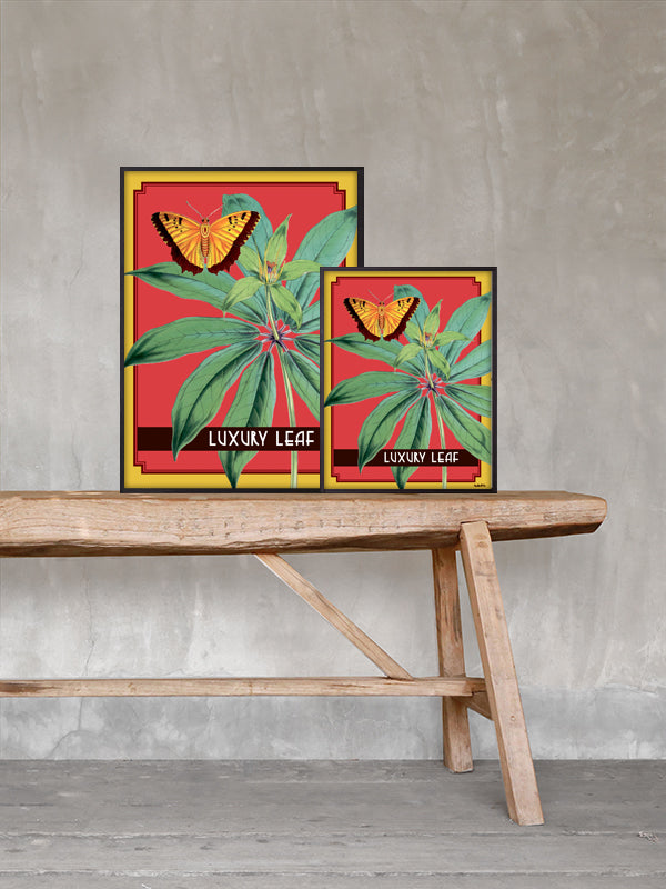 PLAKATER, vanillafly, vanillaflydk, gallerivæg, retrotryk, retroplakater, plakater, flotteplakater, artprints, designprint, billedvæg, flotteplakater, kunst, kunsttryk, gallerikunst, vægkunst, plakatertilsalg, posters, poster, retroposter, retro, art, artprints, artprint, interior, interiordesign, galleryart, botanicalposter, botanicalillustration, gallerywall, wallart, botanicalprint, botanicalart, homedecor, tropicalprint, tropicalart, floralprint, floralart, floralprints, walldecor, artwork wallspace, st