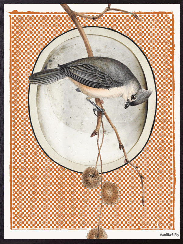 VanillaFly plakater, flotte plakater, moderne plakater, plakater på nettet, plakater online, plakater til salg, køb plakater online, plakater med tekst, plakater natur, designplakater vintageart, plancher, plakat, tavlor, kunstprint, dekorativ, kunst, billede, print, kunstprint, indrammet kunst, vægdekoration, væg dekoration, kunstprint, indrammede plakater, dekorative plakater, vægpynt, billige plakater, scandinavian design plakater, skandinavisk design, skandinavisk, nordic, nordisk, nordisk design, plaka