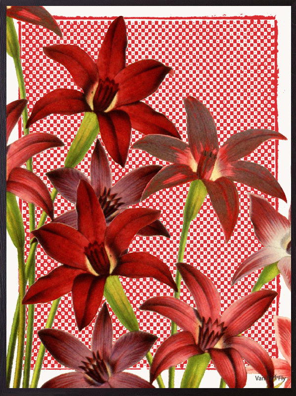 VanillaFly plakater, flotte plakater, moderne plakater, plakater på nettet, plakater online, plakater til salg, køb plakater online, plakater med tekst, plakater natur, designplakater vintageart, plancher, plakat, tavlor, kunstprint, dekorativ, kunst, billede, print, kunstprint, indrammet kunst, vægdekoration, væg dekoration, kunstprint, indrammede plakater, dekorative plakater, vægpynt, billige plakater, scandinavian design plakater, skandinavisk design, skandinavisk, nordic, nordisk, nordisk design, plaka