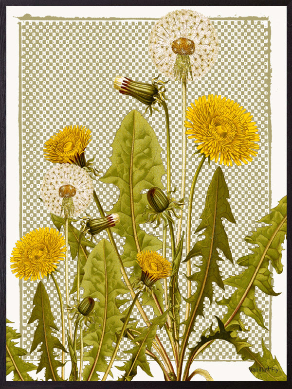 VanillaFly plakater, flotte plakater, moderne plakater, plakater på nettet, plakater online, plakater til salg, køb plakater online, plakater med tekst, plakater natur, designplakater vintageart, plancher, plakat, tavlor, kunstprint, dekorativ, kunst, billede, print, kunstprint, indrammet kunst, vægdekoration, væg dekoration, kunstprint, indrammede plakater, dekorative plakater, vægpynt, billige plakater, scandinavian design plakater, skandinavisk design, skandinavisk, nordic, nordisk, nordisk design, plaka