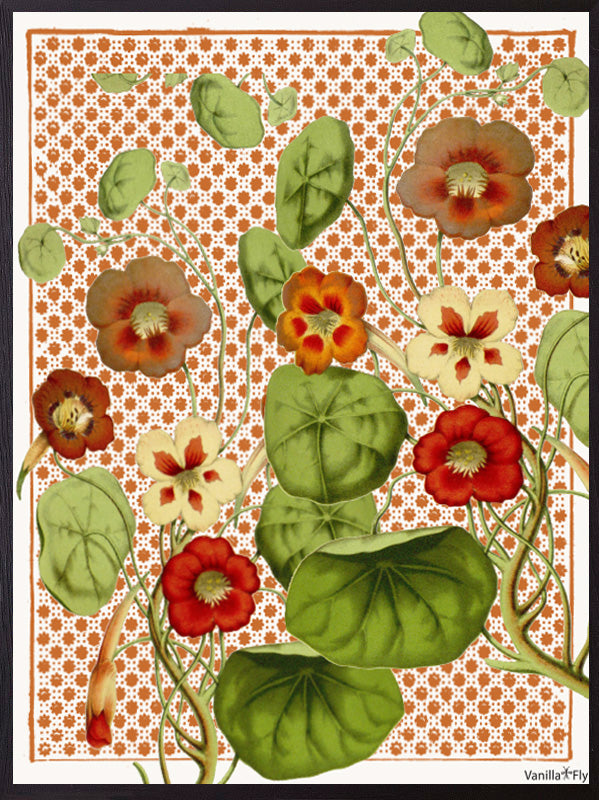 VanillaFly plakater, flotte plakater, moderne plakater, plakater på nettet, plakater online, plakater til salg, køb plakater online, plakater med tekst, plakater natur, designplakater vintageart, plancher, plakat, tavlor, kunstprint, dekorativ, kunst, billede, print, kunstprint, indrammet kunst, vægdekoration, væg dekoration, kunstprint, indrammede plakater, dekorative plakater, vægpynt, billige plakater, scandinavian design plakater, skandinavisk design, skandinavisk, nordic, nordisk, nordisk design, plaka