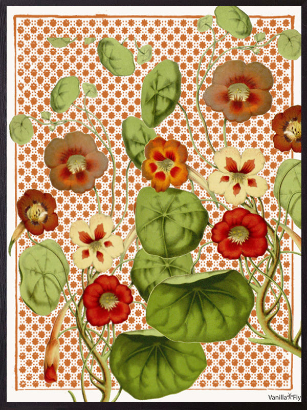 VanillaFly plakater, flotte plakater, moderne plakater, plakater på nettet, plakater online, plakater til salg, køb plakater online, plakater med tekst, plakater natur, designplakater vintageart, plancher, plakat, tavlor, kunstprint, dekorativ, kunst, billede, print, kunstprint, indrammet kunst, vægdekoration, væg dekoration, kunstprint, indrammede plakater, dekorative plakater, vægpynt, billige plakater, scandinavian design plakater, skandinavisk design, skandinavisk, nordic, nordisk, nordisk design, plaka