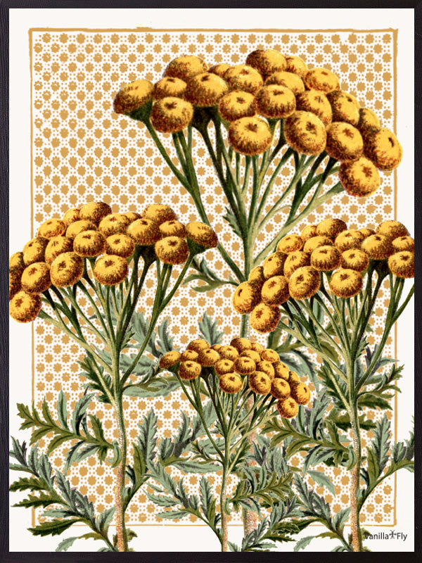 VanillaFly plakater, flotte plakater, moderne plakater, plakater på nettet, plakater online, plakater til salg, køb plakater online, plakater med tekst, plakater natur, designplakater vintageart, plancher, plakat, tavlor, kunstprint, dekorativ, kunst, billede, print, kunstprint, indrammet kunst, vægdekoration, væg dekoration, kunstprint, indrammede plakater, dekorative plakater, vægpynt, billige plakater, scandinavian design plakater, skandinavisk design, skandinavisk, nordic, nordisk, nordisk design, plaka