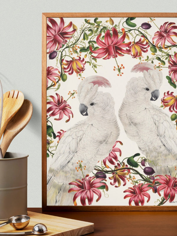 PSC325_Parakeet birds