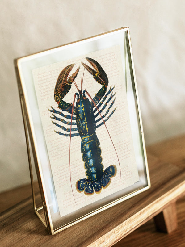 PSC326_Blue lobster