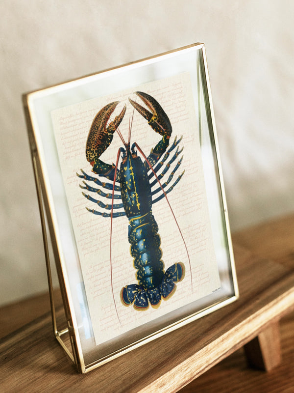 PSC326_Blue lobster