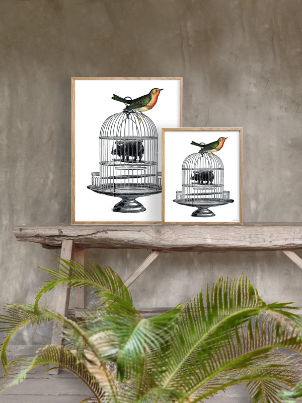 PLAKATER, vanillafly, vanillaflydk, gallerivæg, retrotryk, retroplakater, plakater, flotteplakater, artprints, designprint, billedvæg, flotteplakater, kunst, kunsttryk, gallerikunst, vægkunst, plakatertilsalg, posters, poster, retroposter, retro, art, artprints, artprint, interior, interiordesign, galleryart, botanicalposter, botanicalillustration, gallerywall, wallart, botanicalprint, botanicalart, homedecor, tropicalprint, tropicalart, floralprint, floralart, floralprints, walldecor, artwork wallspace, st