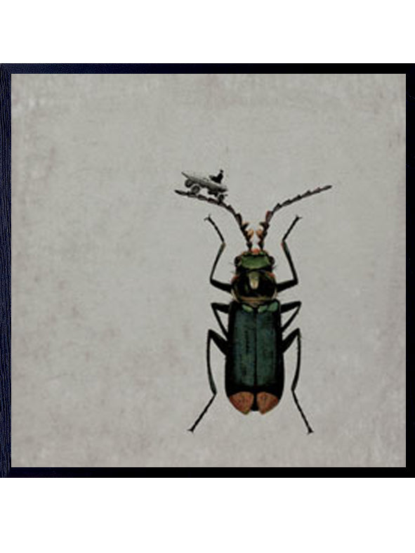 PLAKATER, vanillafly, vanillaflydk, gallerivæg, retrotryk, retroplakater, plakater, flotteplakater, artprints, designprint, billedvæg, flotteplakater, kunst, kunsttryk, gallerikunst, vægkunst, plakatertilsalg, posters, poster, retroposter, retro, art, artprints, artprint, interior, interiordesign, galleryart, botanicalposter, botanicalillustration, gallerywall, wallart, botanicalprint, botanicalart, homedecor, tropicalprint, tropicalart, floralprint, floralart, floralprints, walldecor, artwork wallspace, st