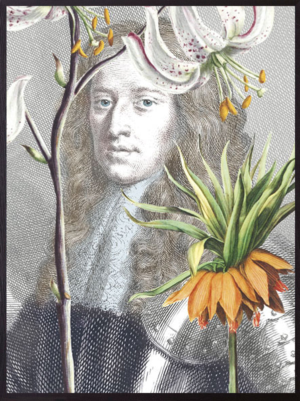 PLAKATER, vanillafly, vanillaflydk, gallerivæg, retrotryk, retroplakater, plakater, flotteplakater, artprints, designprint, billedvæg, flotteplakater, kunst, kunsttryk, gallerikunst, vægkunst, plakatertilsalg, posters, poster, retroposter, retro, art, artprints, artprint, interior, interiordesign, galleryart, botanicalposter, botanicalillustration, gallerywall, wallart, botanicalprint, botanicalart, homedecor, tropicalprint, tropicalart, floralprint, floralart, floralprints, walldecor, artwork wallspace, st