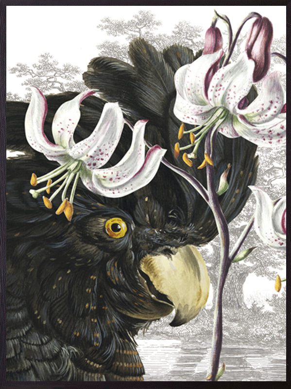 PLAKATER, vanillafly, vanillaflydk, gallerivæg, retrotryk, retroplakater, plakater, flotteplakater, artprints, designprint, billedvæg, flotteplakater, kunst, kunsttryk, gallerikunst, vægkunst, plakatertilsalg, posters, poster, retroposter, retro, art, artprints, artprint, interior, interiordesign, galleryart, botanicalposter, botanicalillustration, gallerywall, wallart, botanicalprint, botanicalart, homedecor, tropicalprint, tropicalart, floralprint, floralart, floralprints, walldecor, artwork wallspace, st