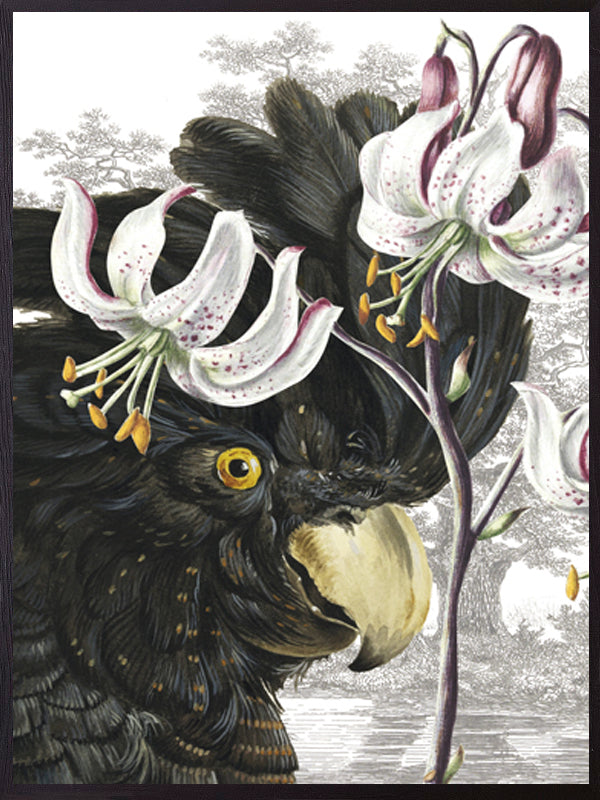 PLAKATER, vanillafly, vanillaflydk, gallerivæg, retrotryk, retroplakater, plakater, flotteplakater, artprints, designprint, billedvæg, flotteplakater, kunst, kunsttryk, gallerikunst, vægkunst, plakatertilsalg, posters, poster, retroposter, retro, art, artprints, artprint, interior, interiordesign, galleryart, botanicalposter, botanicalillustration, gallerywall, wallart, botanicalprint, botanicalart, homedecor, tropicalprint, tropicalart, floralprint, floralart, floralprints, walldecor, artwork wallspace, st