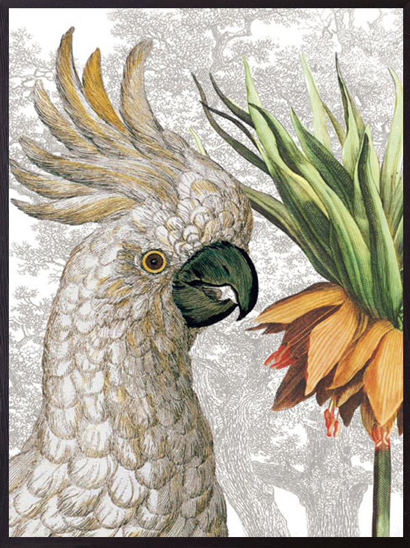 PLAKATER, vanillafly, vanillaflydk, gallerivæg, retrotryk, retroplakater, plakater, flotteplakater, artprints, designprint, billedvæg, flotteplakater, kunst, kunsttryk, gallerikunst, vægkunst, plakatertilsalg, posters, poster, retroposter, retro, art, artprints, artprint, interior, interiordesign, galleryart, botanicalposter, botanicalillustration, gallerywall, wallart, botanicalprint, botanicalart, homedecor, tropicalprint, tropicalart, floralprint, floralart, floralprints, walldecor, artwork wallspace, st